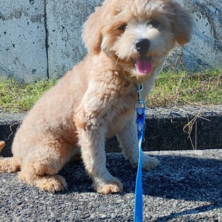 とても元気な女の子です