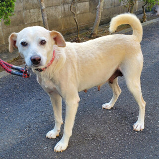 ありがとうございました！