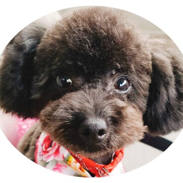 カット行ったよー