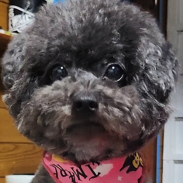 アフロってます♬.*ﾟ