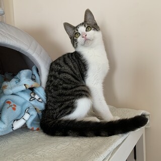 人見知りな男の子