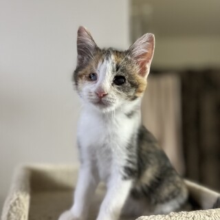 調整中のため一旦ストップにてお願いします