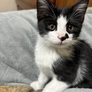 ハート模様が可愛い月くん