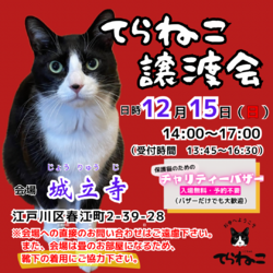 【第7回】てらねこ譲渡会