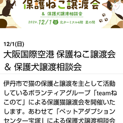 大阪空港保護ねこ譲渡会&保護犬里親募集相談会