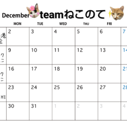 兵庫県伊丹【予約不要】スナックちーねこ保護猫譲渡会&チャリティグッズ販売