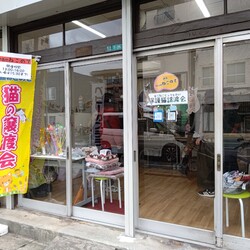 兵庫県伊丹YAMAUCHI【予約不要】保護猫譲渡会&チャリティグッズ販売猫の譲渡会 サムネイル2