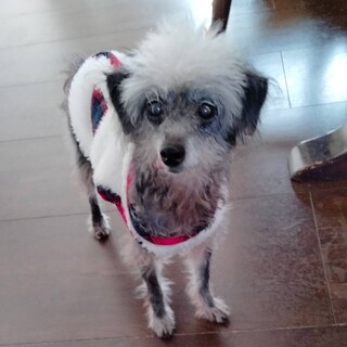 見た目に比べとっても元気な「そあらちゃん」