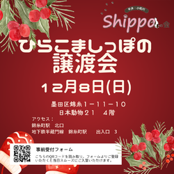 ひらこましっぽの譲渡会