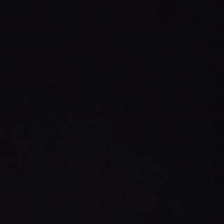 チンチラの里親募集