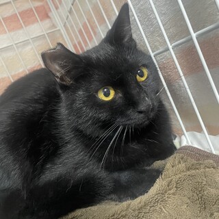 一生のお家探してます！