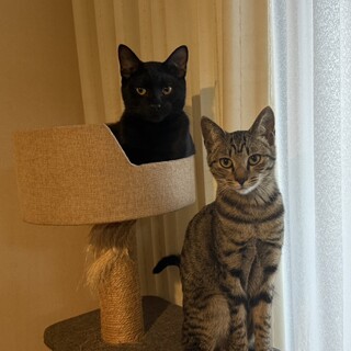 生後7ヶ月の仲良し姉弟！