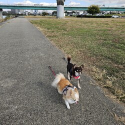 「淀川河川敷にて」サムネイル2