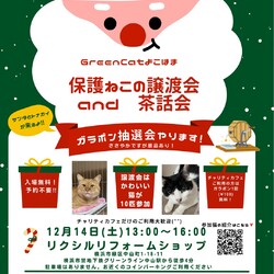 保護ねこの譲渡会＆茶話会 in 横浜市緑区