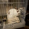 ちぃちゃん