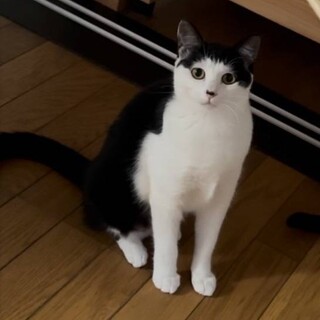 おカッパが可愛い、ムロさんです。