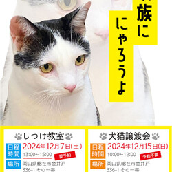 AWA総社犬ねこ譲渡会