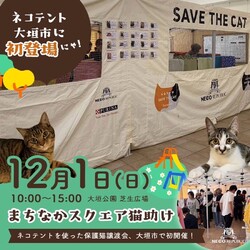 まちなかスクエア猫助け！