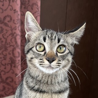 人が大好き！甘えんぼ・きいきいちゃん