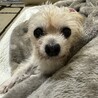 1月トライアル。おっとり。甘えん坊ぽぽちゃん サムネイル2