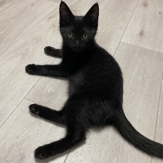 【募集一時停止】ベタ甘男子のたくろー