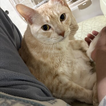 年中ベタベタなハル　帰りが遅いと張り付きが長い