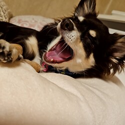 「バナちゃんおねむ」サムネイル2