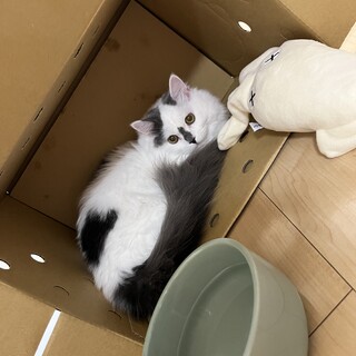 2歳の女の子です