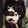 はるざねこ