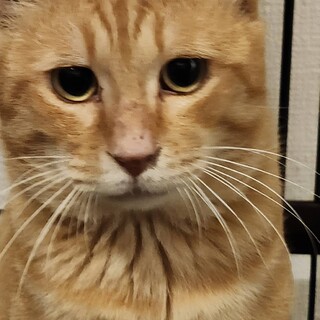 〝茶太郎くん〟です♪