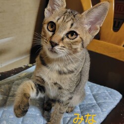 週末はアニマルエイドお見合い大会へ！ サムネイル2