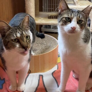 ２匹一緒なら嬉しいな・ばんくんとざいくん