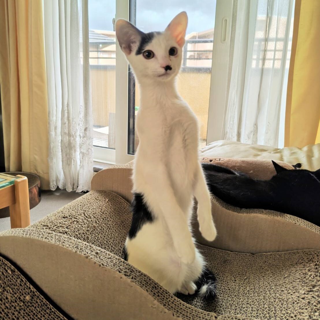 大人しくて甘えん坊な女の子♡リネットちゃん サムネイル2