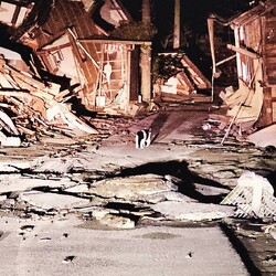 「能登と猫展」 サムネイル2