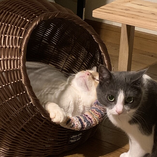 おみゅぎオトンのカバー写真