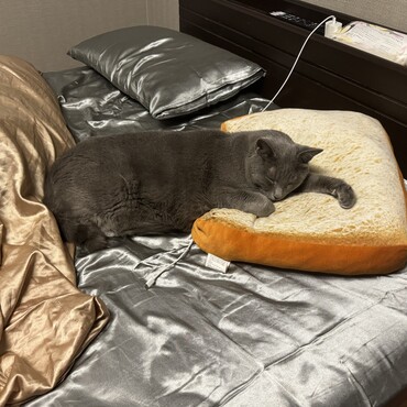 の写真