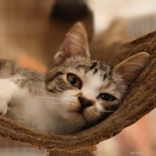 アンジーと呼んで下さい♪♪ベタ慣れです♡