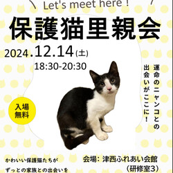 保護猫里親会in津