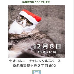 三重県桑名市12月8日(日)リトルパウエイド譲渡会