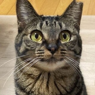 いつでもスマイル美人のつるちゃん