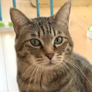 おっとり・ぽっちゃりアンちゃん