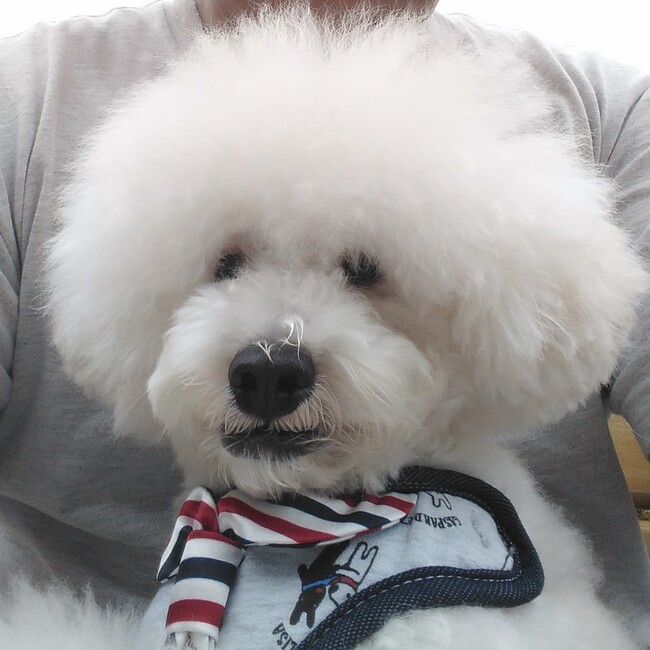 gontanのカバー写真