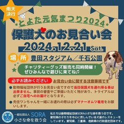 とよた元気まつり2024