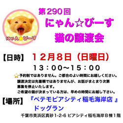 にゃん☆ぴーす猫の譲渡会【稲毛海岸/ペテモピアシティ稲毛海岸店』