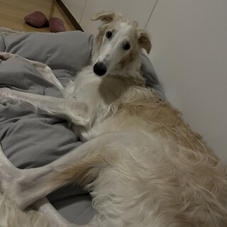 迎えに来てくれる方