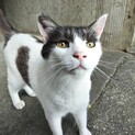 マコト(ズラじゃないよ????)