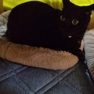 I21　いとちゃん