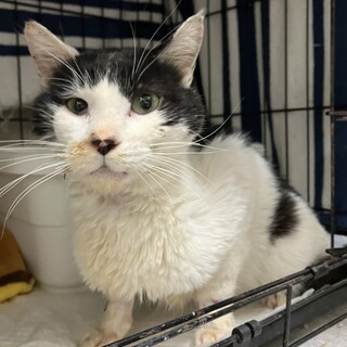 SOS！12／25期限人間大好きフレデリック