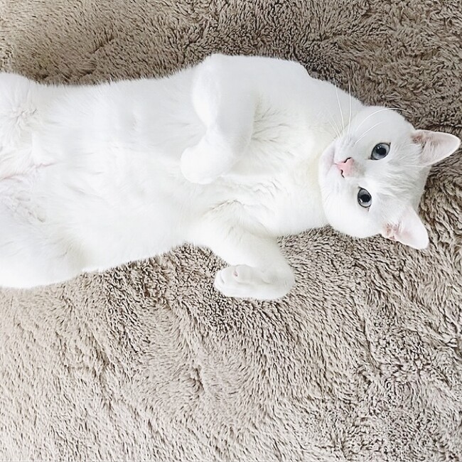 みったんのママのカバー写真