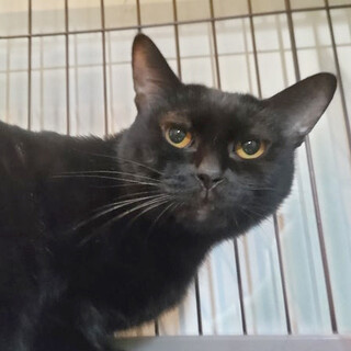 やっと甘えられるようになったゆめちゃんです